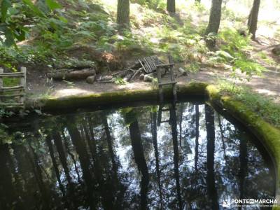Garganta de la Cereceda - Piscinas de Piedralaves; excursiones guadalajara viajes organizados en gru